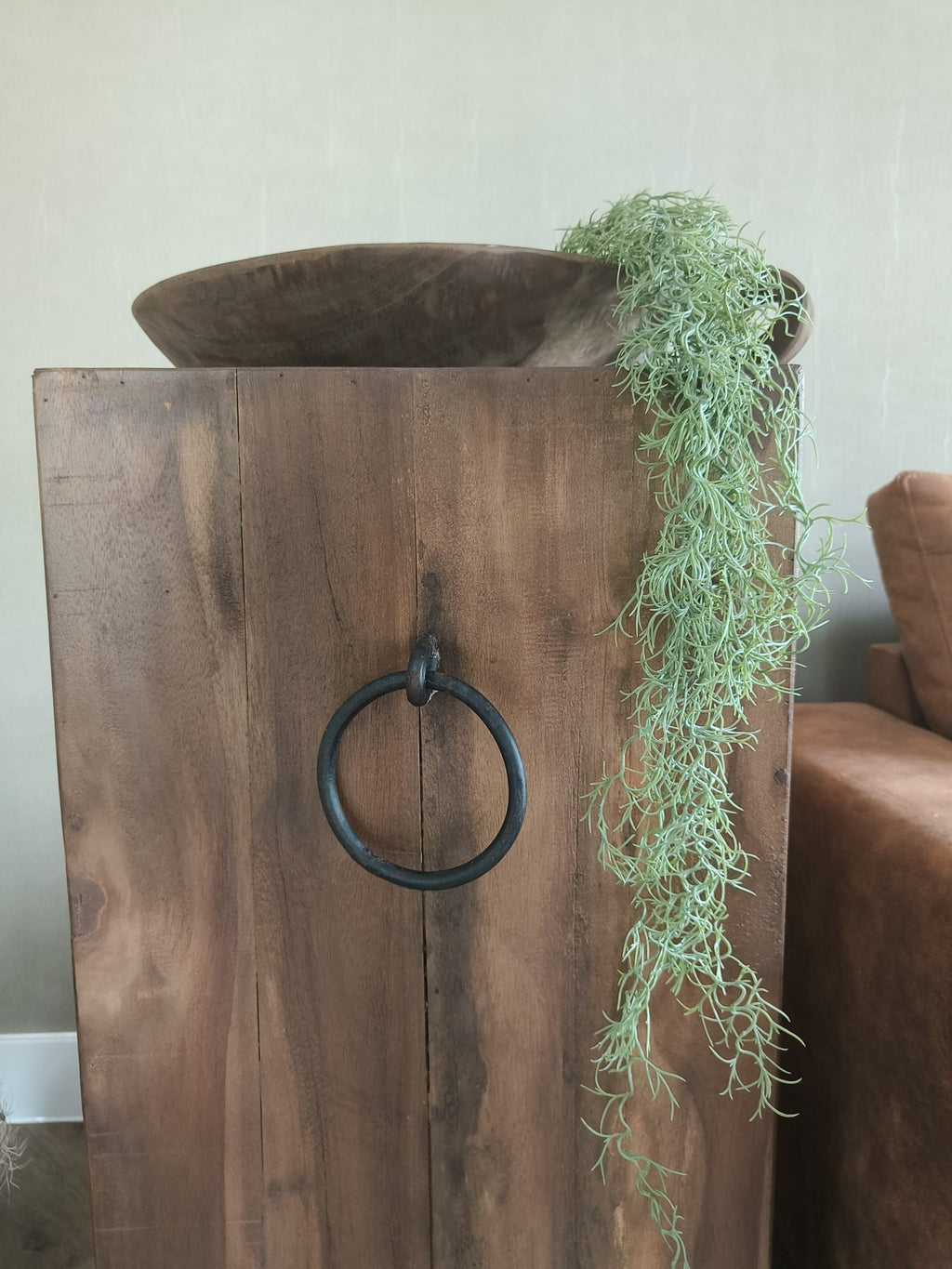 Kunst tillansia hang