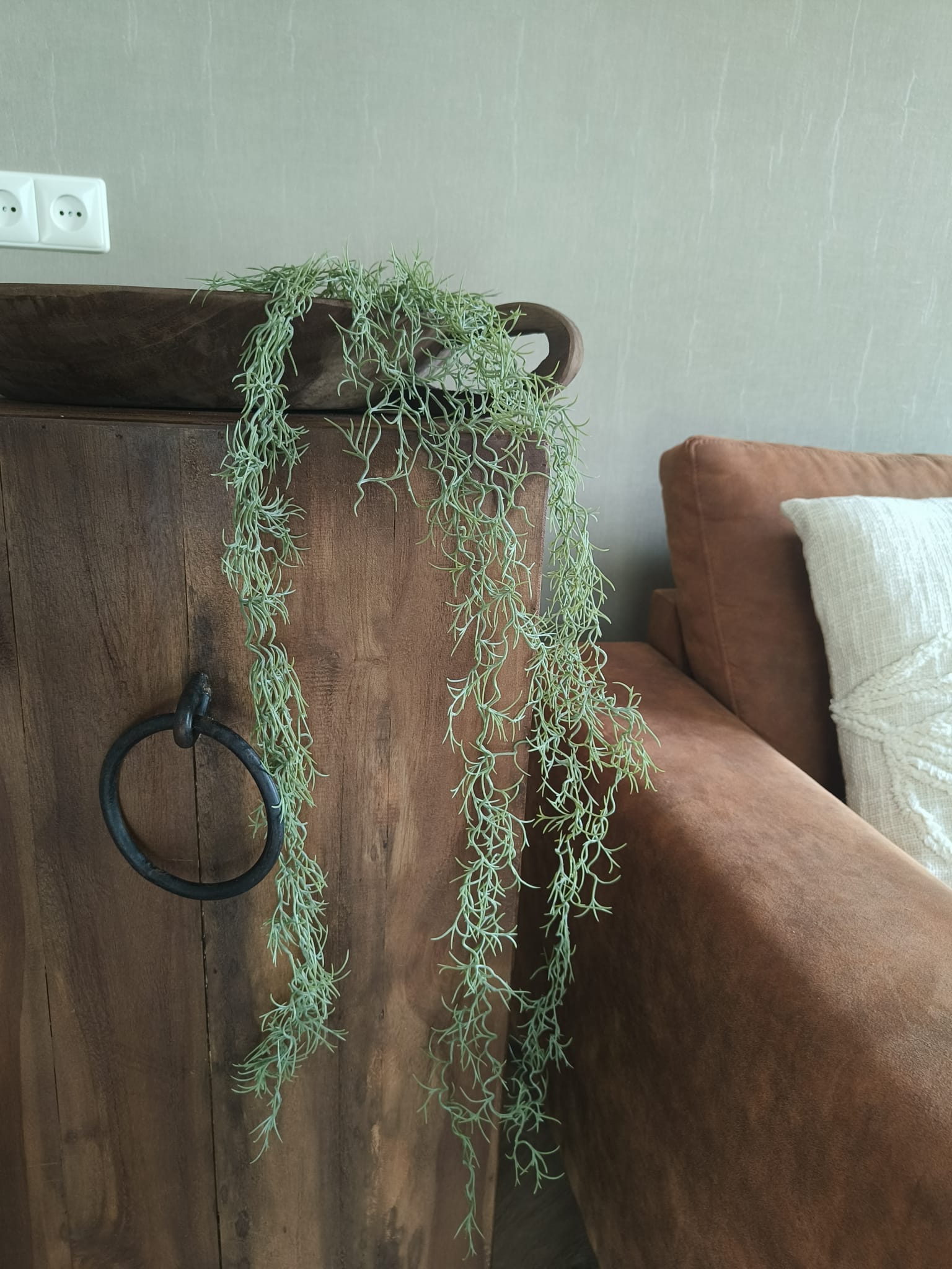 Kunst tillansia hang