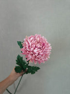 Kunst Dahlia