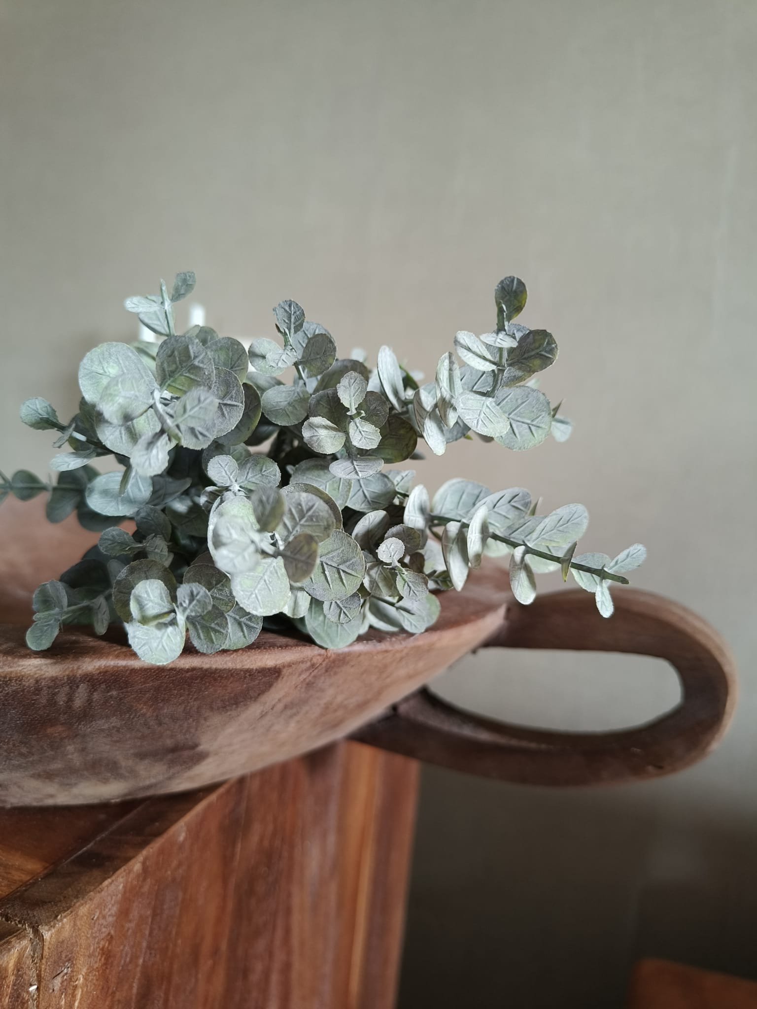 Kunst baby eucalyptus