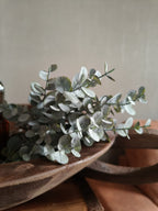 Kunst baby eucalyptus