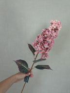 Kunst Hydrangea