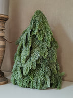 Kunst nobilis kerstboom