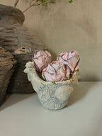 Betonnen kip bloembak