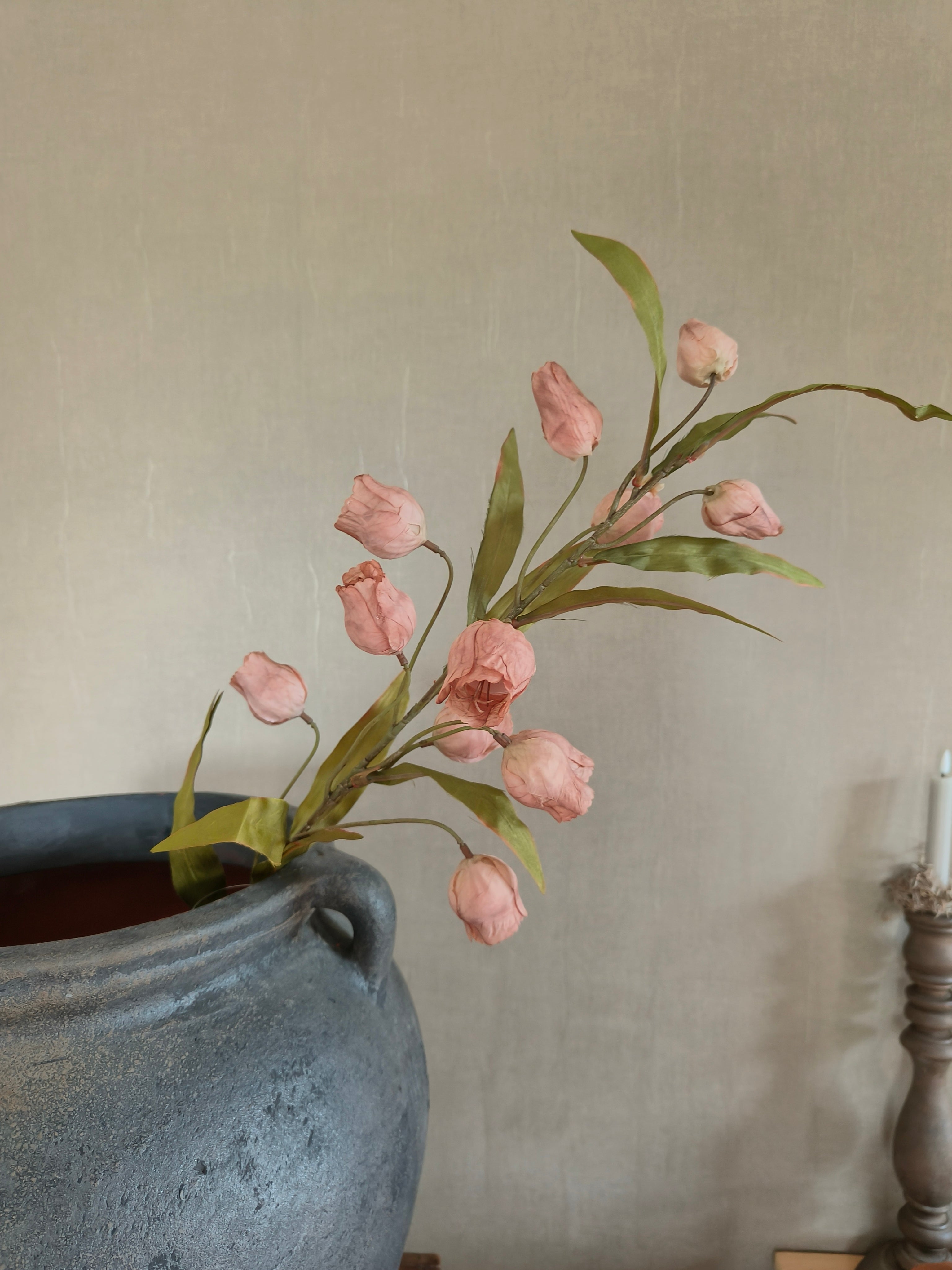 Kunst Campanula