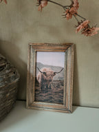 Wandbord schotse hooglander