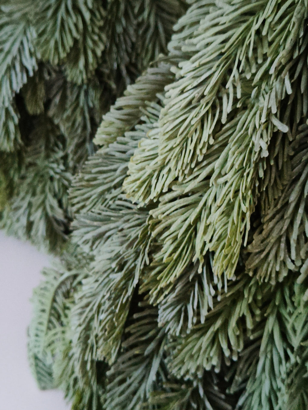 Kunst nobilis kerstboom