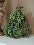 Kunst nobilis kerstboom