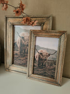 Wandbord schotse hooglander