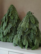 Kunst nobilis kerstboom