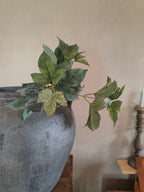 Kunst tak groen