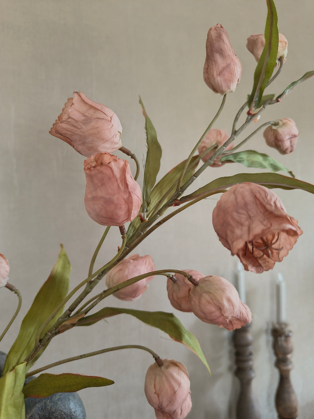 Kunst Campanula