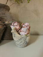 Betonnen kip bloembak