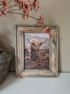 Wandbord schotse hooglander