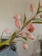Kunst Campanula