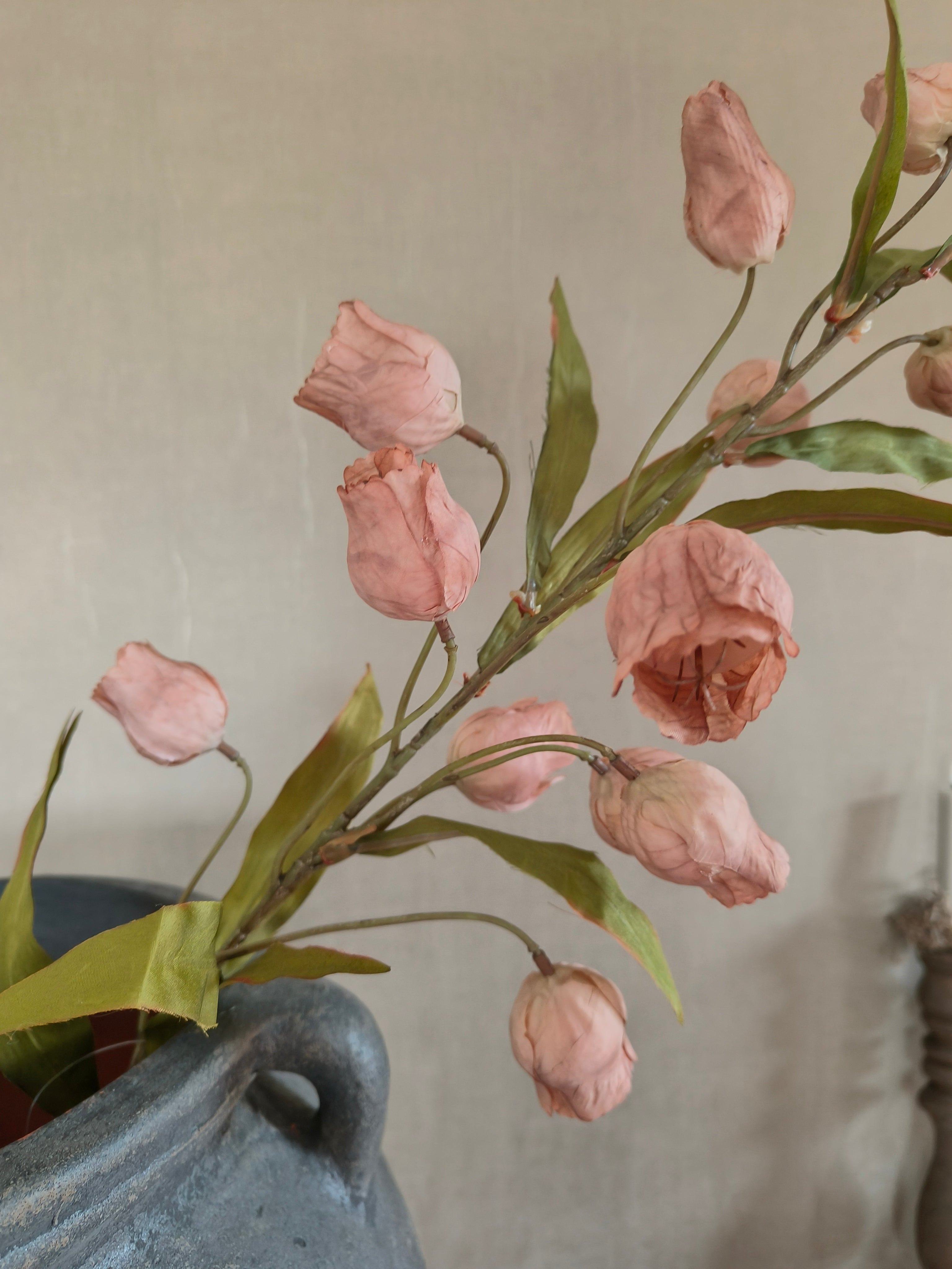 Kunst Campanula