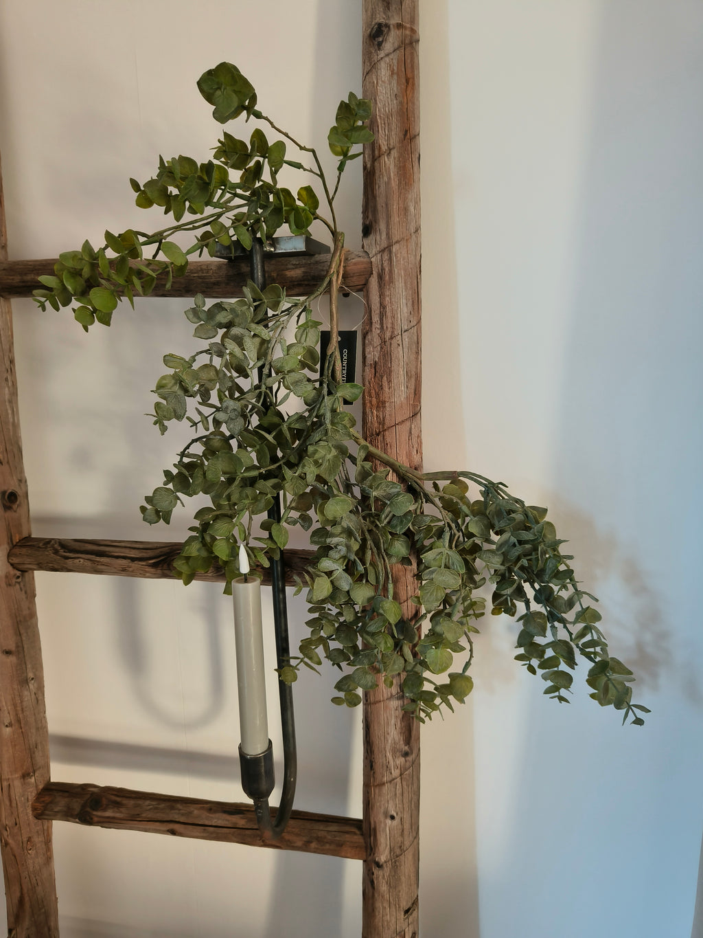 kunst hang eucalyptus