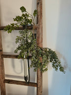 kunst hang eucalyptus