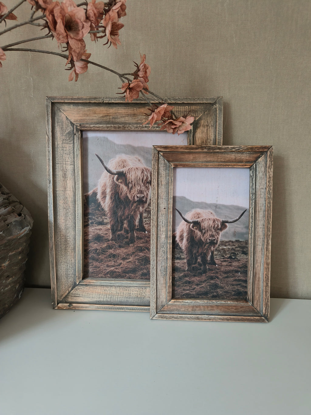 Wandbord schotse hooglander