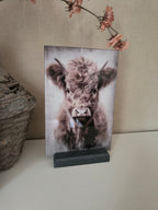 Wandbord schotse hooglander (Glas)