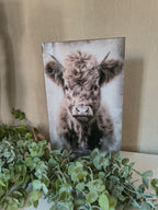Wandbord glas