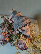 Ornament hanger muntjes