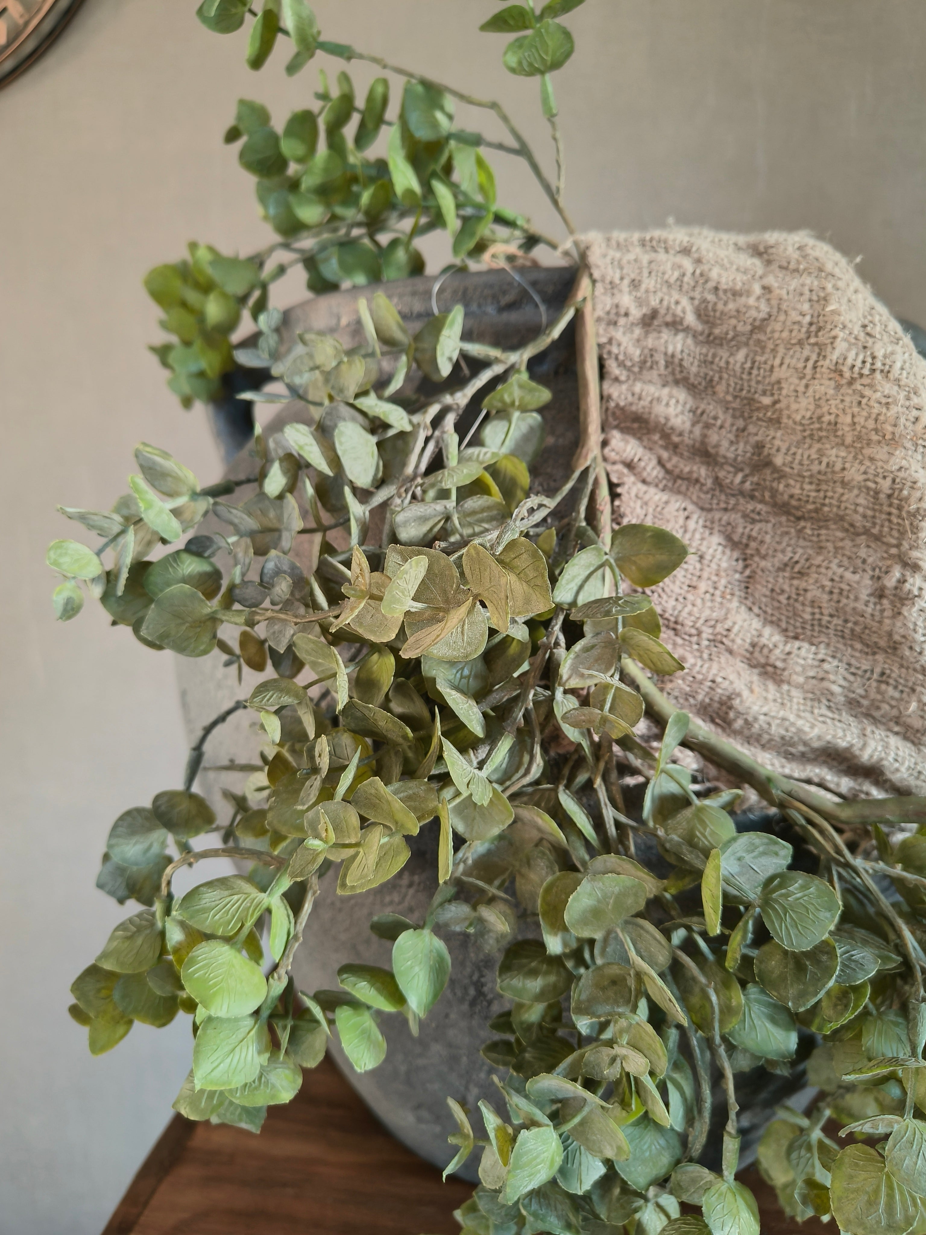 kunst hang eucalyptus