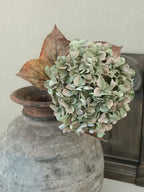 Kunst Hortensia groen