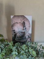 Wandbord glas