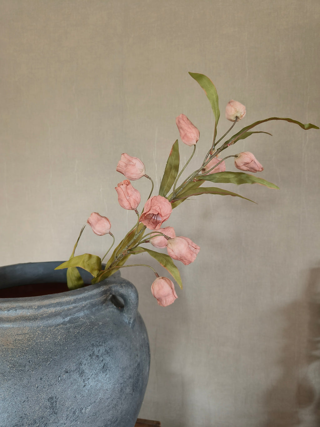 Kunst Campanula