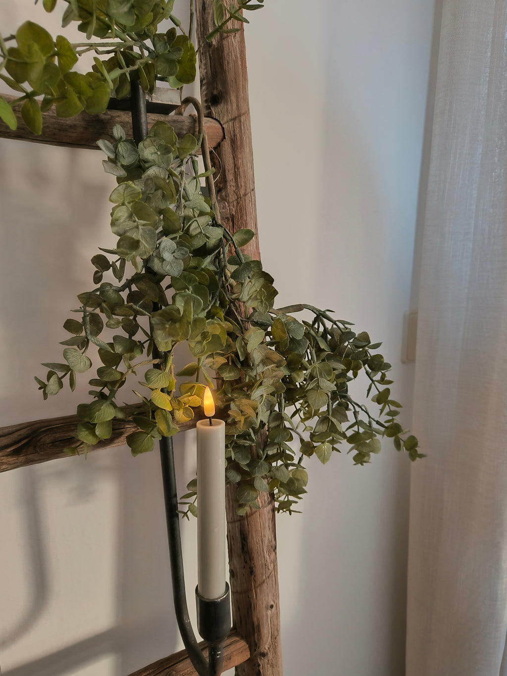 kunst hang eucalyptus