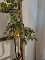 kunst hang eucalyptus