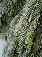 Kunst nobilis kerstboom