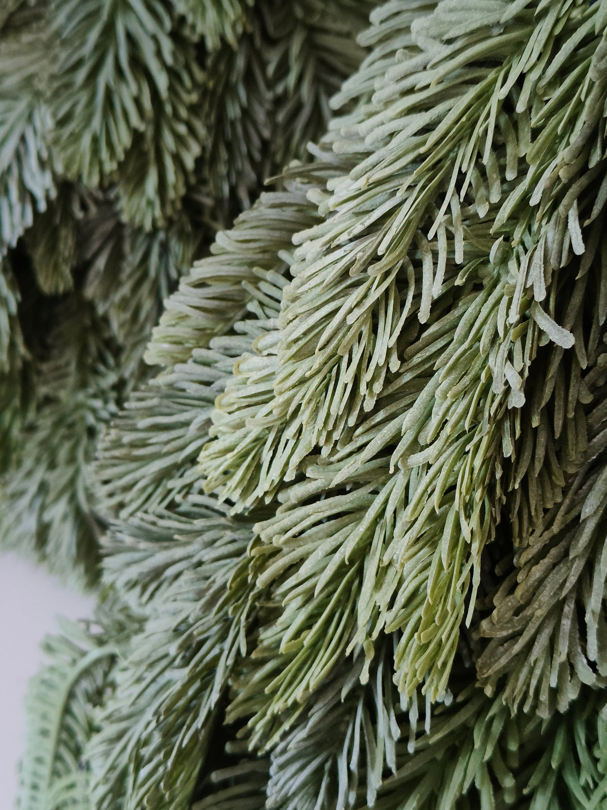 Kunst nobilis kerstboom