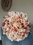 Kunst dahlia
