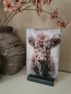 Wandbord schotse hooglander (Glas)